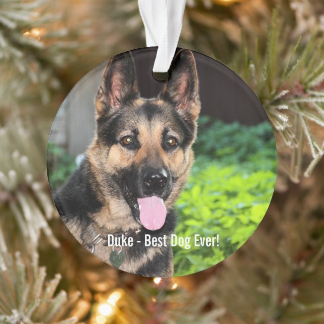 Personalisiertes Hundehund-Foto, Hundename Ornament (Baum)