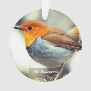 Personalisiertes individuelles Rotkehlchen-Vogel-F Ornament