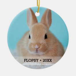 Personalisiertes Kaninchen Foto Name Weihnachtsbau Keramik Ornament