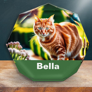 Personalisiertes Katzen-Ornament für Ihr Haustier Fotoblock