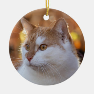 Personalisiertes Kitty-Katzenfoto Keramik Ornament