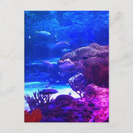 Personalisiertes Korallenriff Postkarte