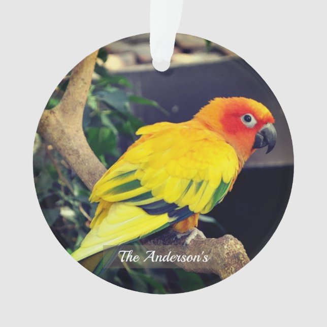 Personalisiertes Lovebird-Foto Ornament (Vorderseite)