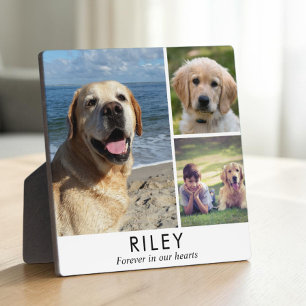 Personalisiertes minimalistisches Hundedenkmal-Fot Fotoplatte