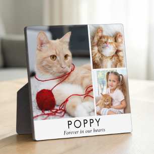 Personalisiertes minimalistisches Katzen-Gedenkfot Fotoplatte