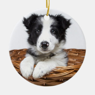 Personalisiertes Monogram & Pet Foto Weihnachten Keramik Ornament