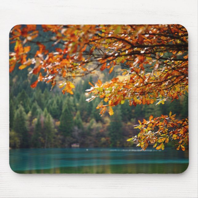 Personalisiertes Naturfoto Modern  Mousepad (Vorne)