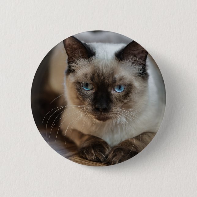 Personalisiertes Pet-Cat-Image Hinzufügen Ihres ei Button (Vorderseite)