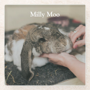 Personalisiertes Pet-Foto Glasuntersetzer