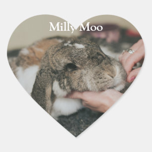 Personalisiertes Pet-Foto Herz-Aufkleber