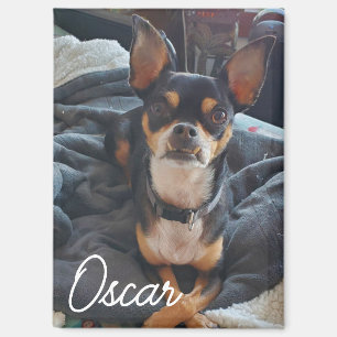 Personalisiertes Pet-Foto Magnet