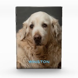 Personalisiertes Pet-Foto und Name Fotoblock