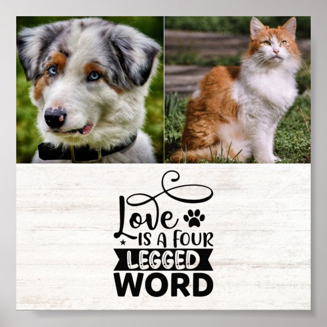 Personalisiertes Pet-Poster mit zwei Fotos Poster (Vorne)