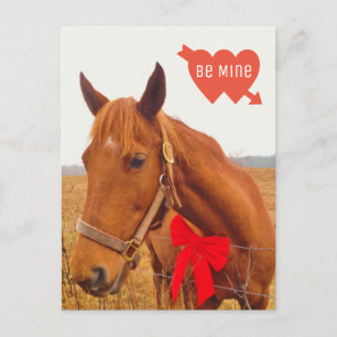 Personalisiertes Pferd Valentine mit Bow Postkarte