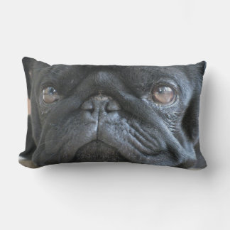 Personalisiertes Pug-Kissen, schwarzer Pug-Welpe, Lendenkissen