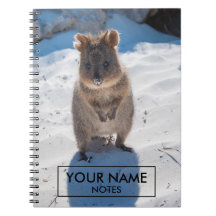 Personalisiertes Quokka am Strand