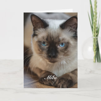 Personalisiertes Ragdoll-Katzenfoto und Name Karte