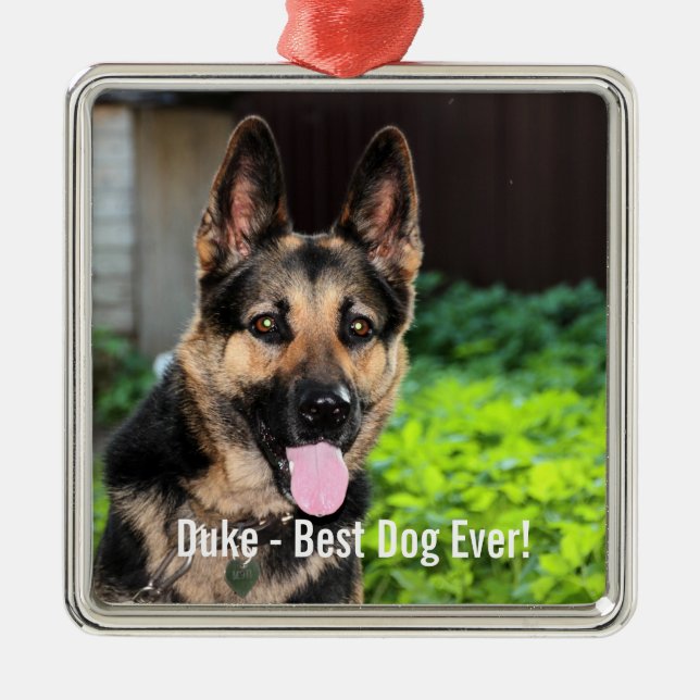 Personalisiertes Schäferhund-HundeFoto, Hundename Silbernes Ornament (Vorne)