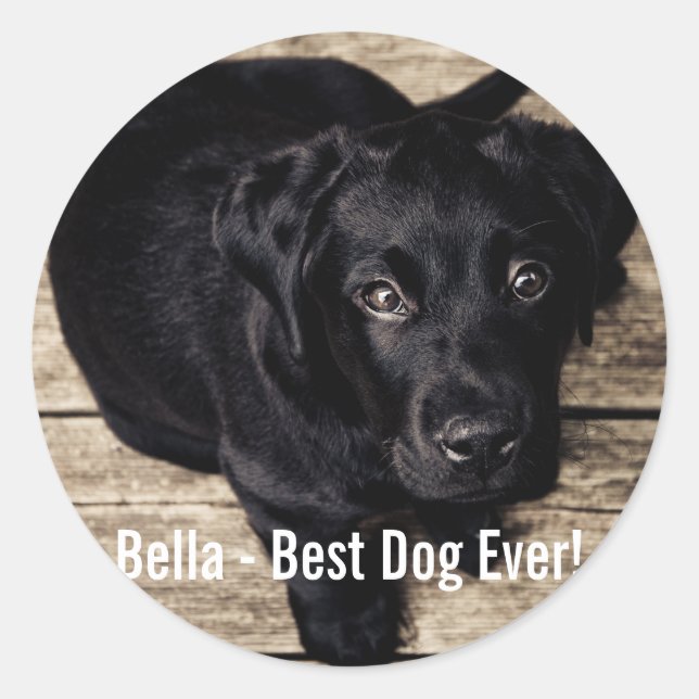 Personalisiertes schwarzes Labor Foto und Name des Runder Aufkleber (Vorderseite)