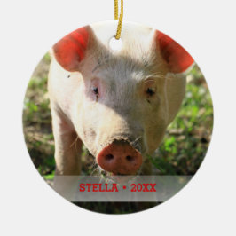Personalisiertes Schweinefleisch Foto und Name Wei Keramikornament