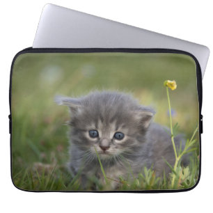 Personalisiertes Süßes Kätzchen Laptopschutzhülle