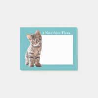 Personalisiertes Tabby-Katzen-Kätzchen-Foto