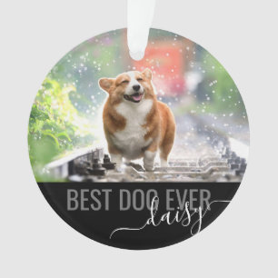 Personalisiertes Tier Bester Hund je Modernes Foto Ornament