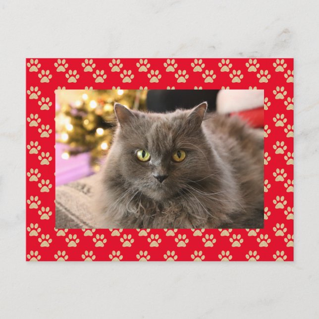 Personalisiertes Tier Katze Foto Meowy Weihnachten (Vorderseite)