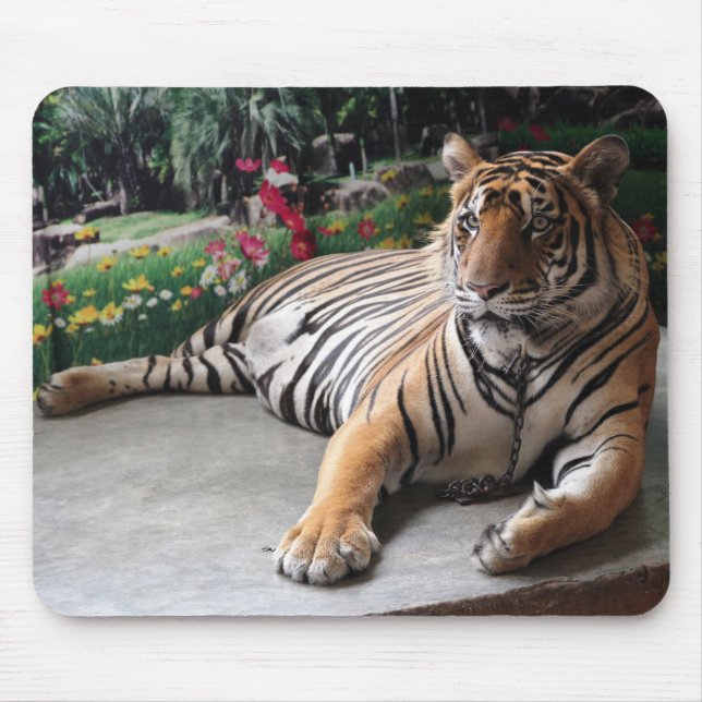 Personalisiertes Tiger Wildtier Mousepad (Vorne)