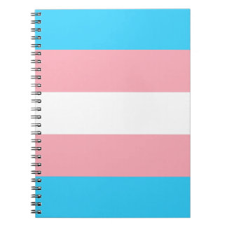 Personalisiertes Transgender-Flag Notizblock