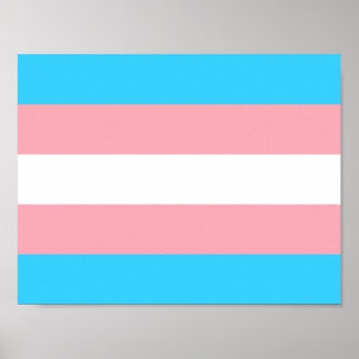 Personalisiertes Transgender-Flag Poster