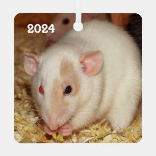 Personalisiertes, ungeradenes Auge Beige Dumbo Ext Ornament Aus Metall