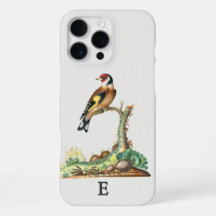 Personalisiertes Vintage-Stieglitz-Monogramm-Initi