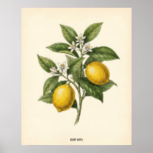 Personalisiertes Vintage-Zitronen-Botanik-Farmhous