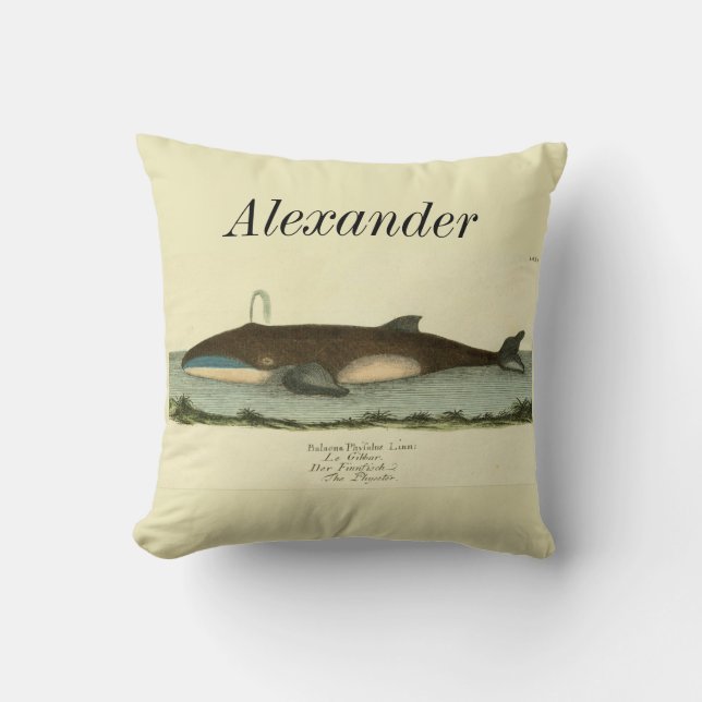 Personalisiertes Vintages Wassersportzentrum Kissen (Vorderseite)