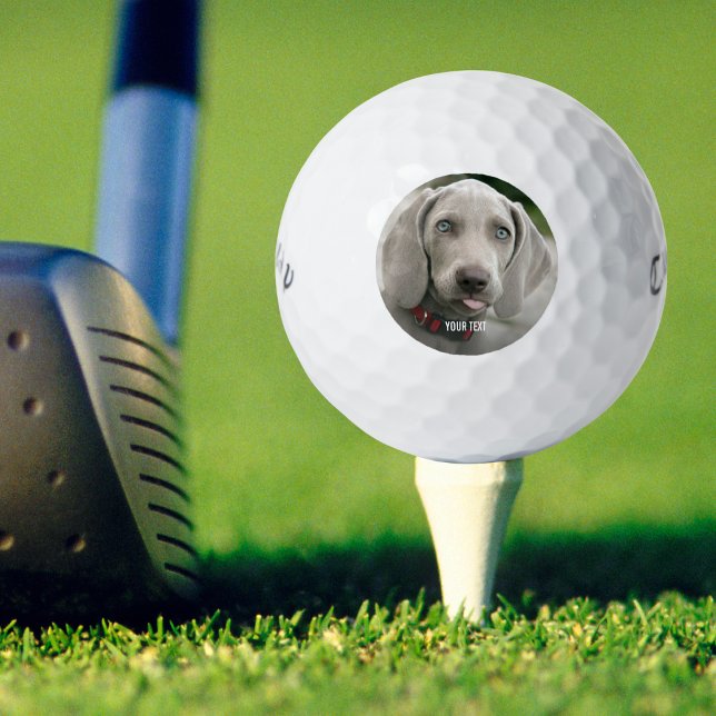 Personalisiertes Weimaraner-Hund-Foto und Name des Golfball (Von Creator hochgeladen)