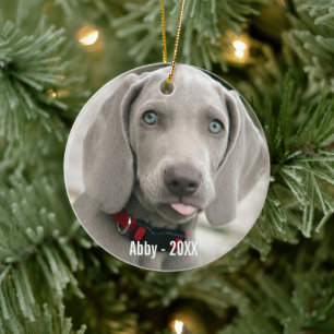 Personalisiertes Weimaraner-Hund-Foto und Name des Keramik Ornament