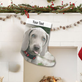 Personalisiertes Weimaraner-Hund-Foto und Name des Kleiner Weihnachtsstrumpf