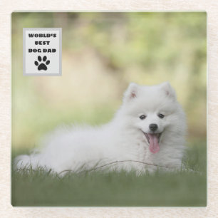 Personalisiertes, weltweit bester Hund-Vater-Custo Glasuntersetzer