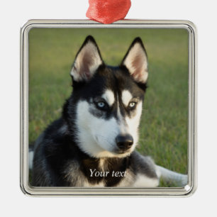 Personalize Siberian Husky puppy Ornament Aus Metall