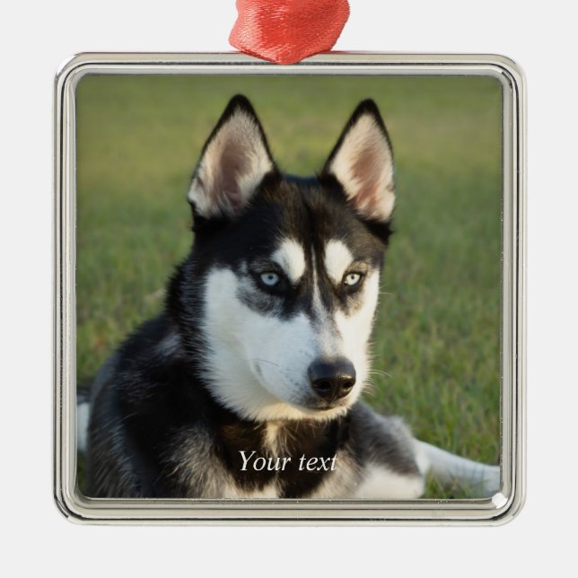 Personalize Siberian Husky puppy Ornament Aus Metall (Vorne)
