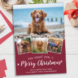 Personalized 4 Pet Photo Woof You Merry Christmas Feiertagskarte<br><div class="desc">We Woof You A Merry Christmas! Send cute and fun holiday greetings with this super cute personalized custom pet photo holiday card. Merry Christmas wishes from the dog with cute paw prints in a fun modern photo collage design. Add your dog's photos or family photos with the dog, and personalize...</div>