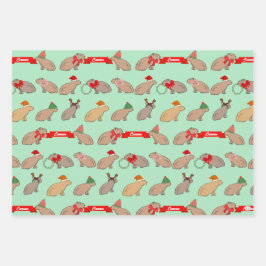 Personalized Capybara Cute Wildlife Christmas Geschenkpapier Set