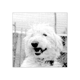 Personalized Custom Pet Photo Etched Style Gummistempel