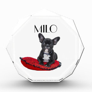 Personalized Dog Fotoblock