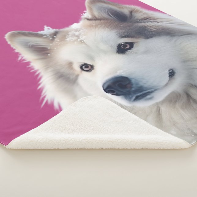 Personalized Dog Photo Blanket Sherpadecke (3/4)