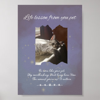 Personalized Dreamy Life Lessons from your Pet Poster