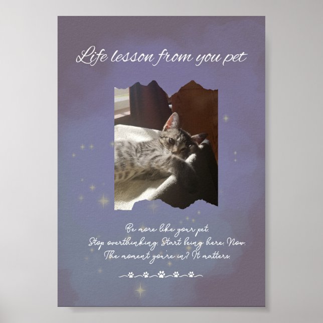 Personalized Dreamy Life Lessons from your Pet  Poster (Vorne)