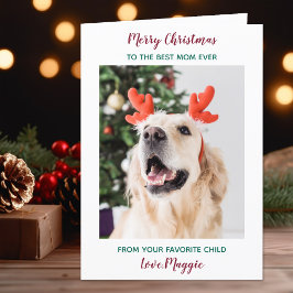Personalized Merry Christmas Dog Mom Pet Photo Feiertagskarte