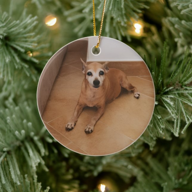 Personalized Name And Photo Pet Memorial Keramik Ornament (Baum)
